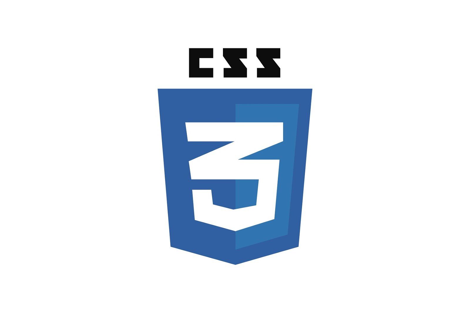 CSS logo.