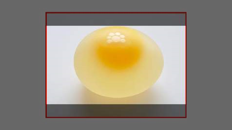 Egg in a frame, #2.