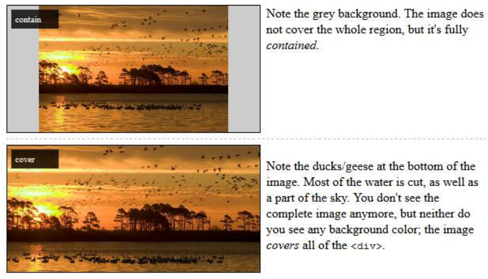 Example, contain and cover images.