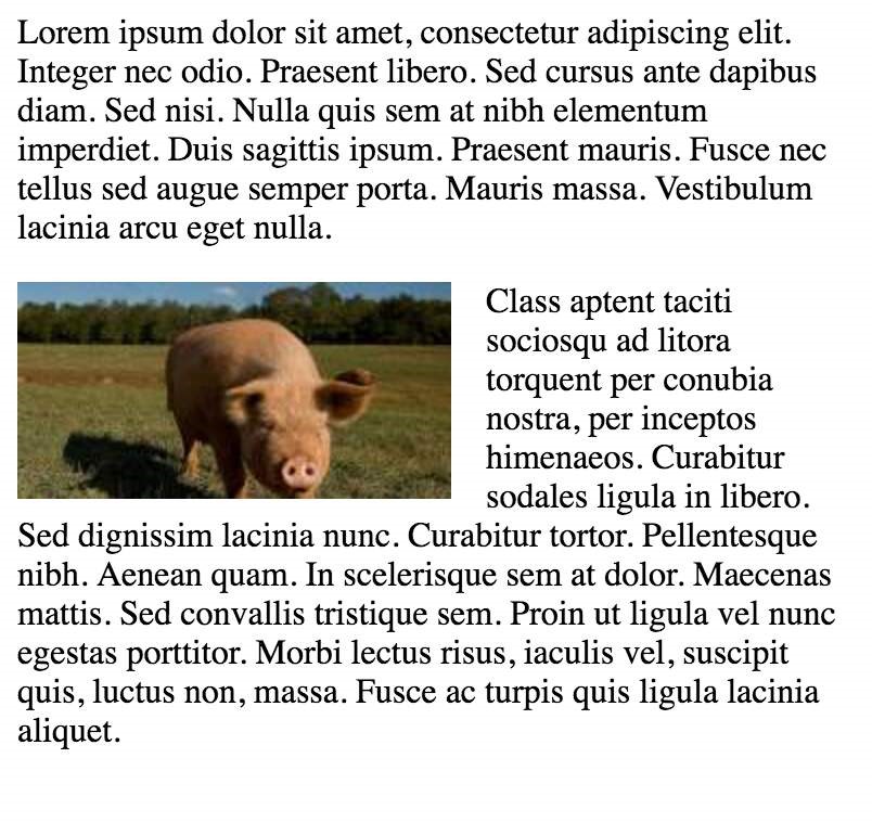 Output from img float: left; margin-right: 1rem;